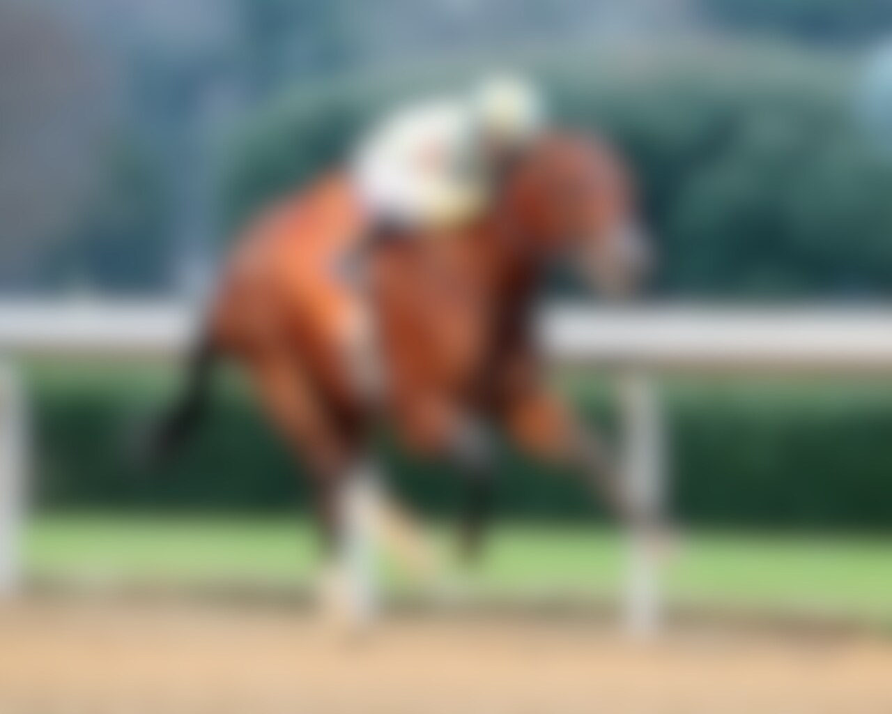 Strategic Risk wins the Smarty Jones at Oaklawn Park.