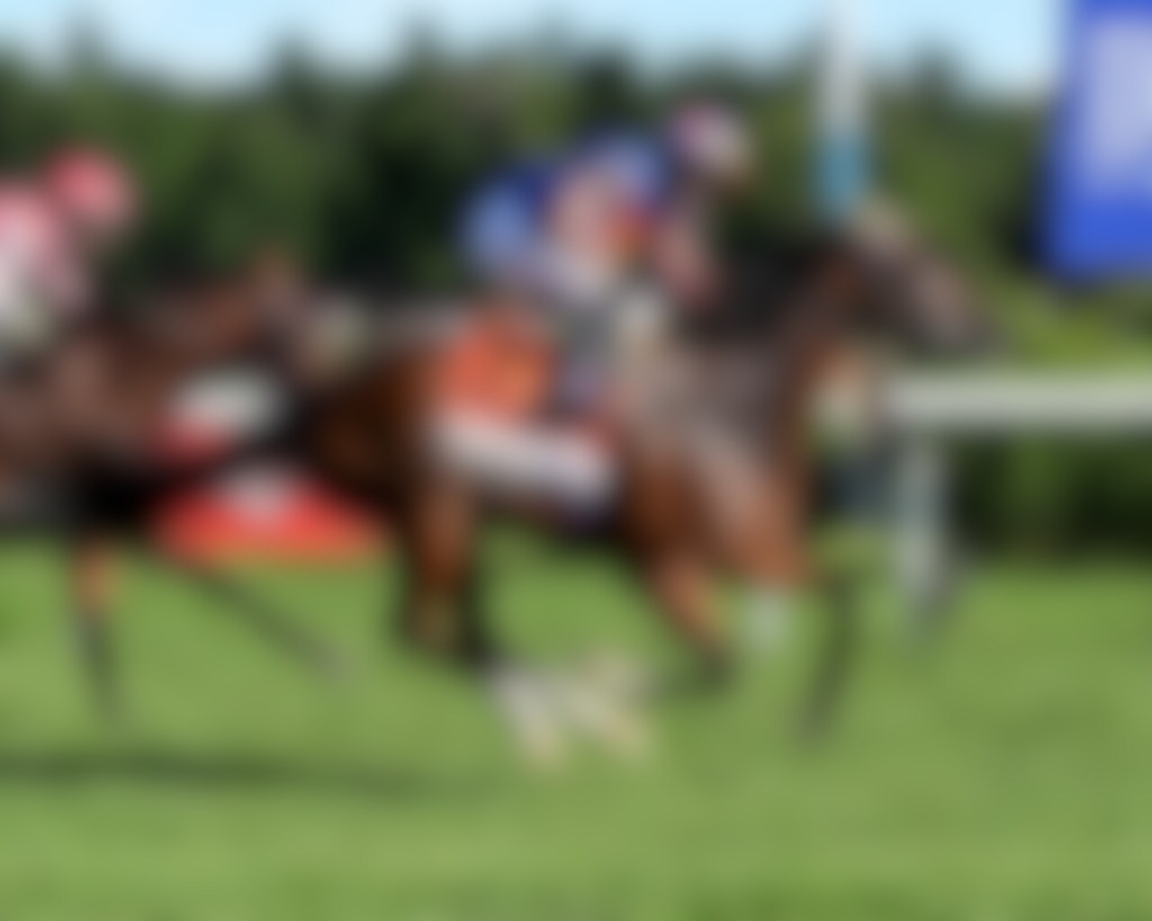 Survie wins the Christophe Clement Turf Stakes at Saratoga. 