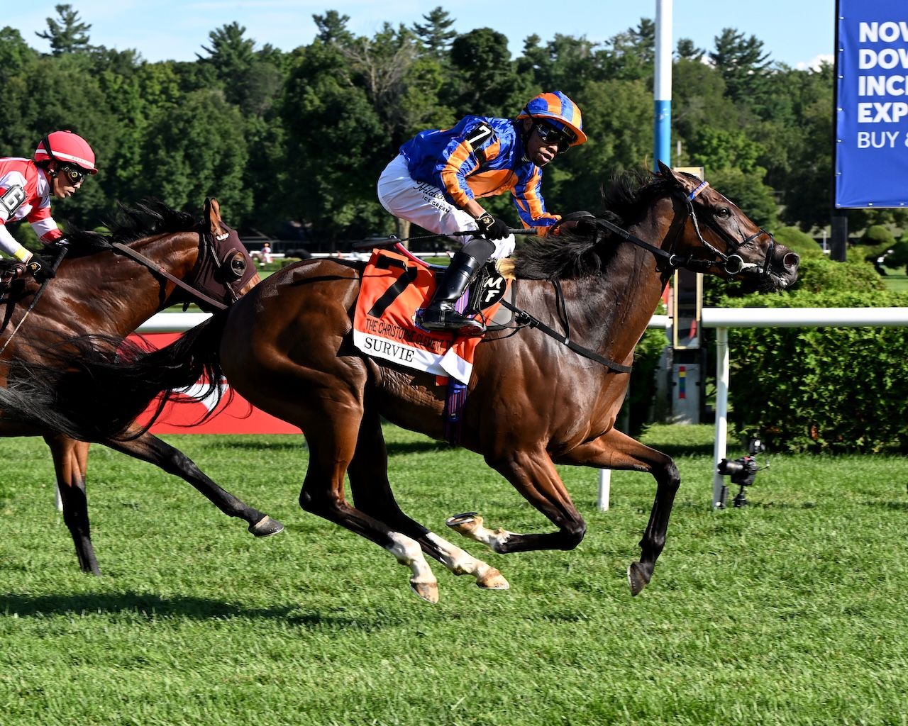 Survie wins the Christophe Clement Turf Stakes at Saratoga.