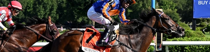 Survie accomplishes Christophe Clement Turf mission