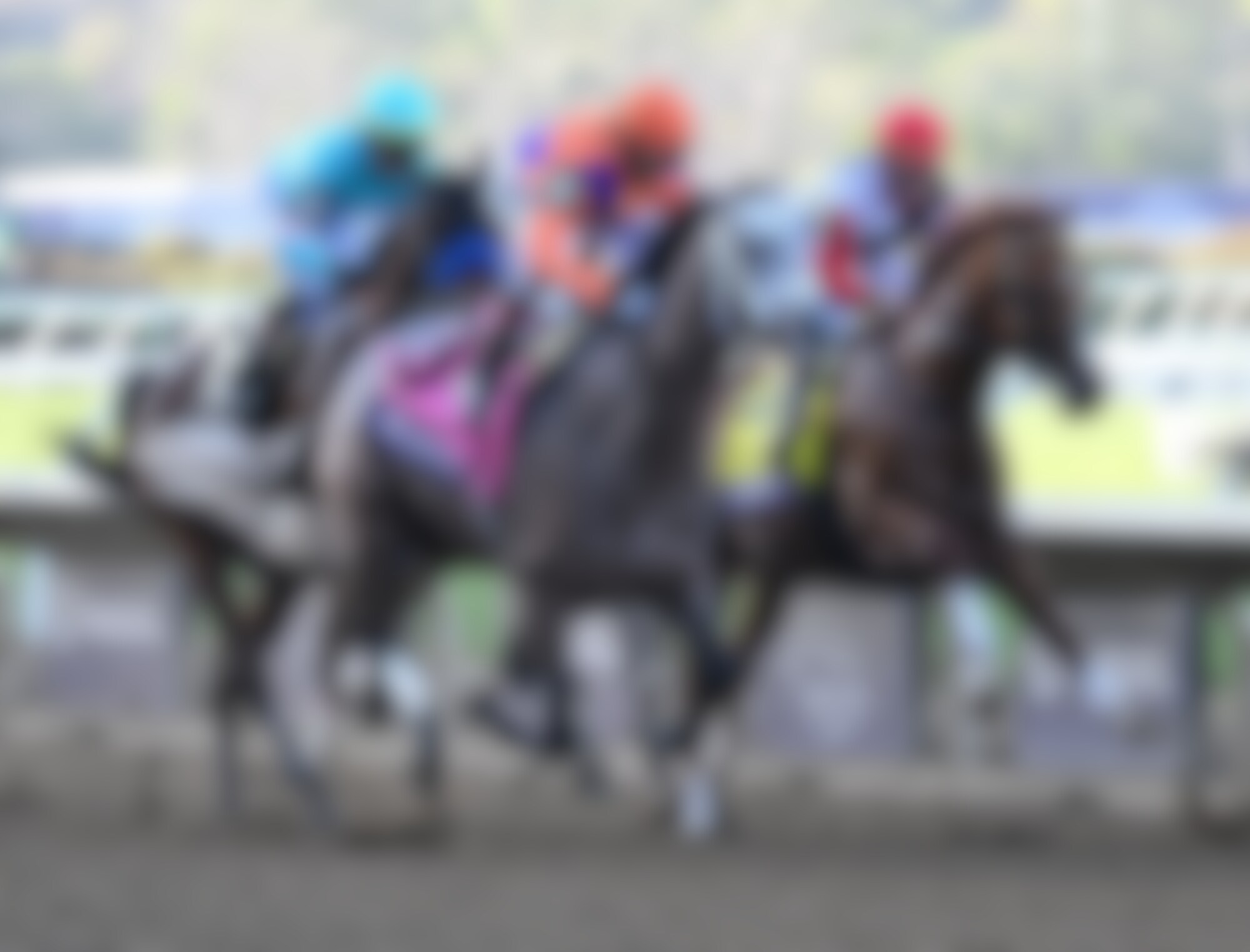 Ted Noffey (outside) winning the Breeders' Cup Juvenile (G1) at Del Mar