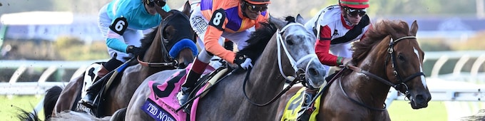 Ted Noffey, Into Mischief popular in Kentucky Derby future pools