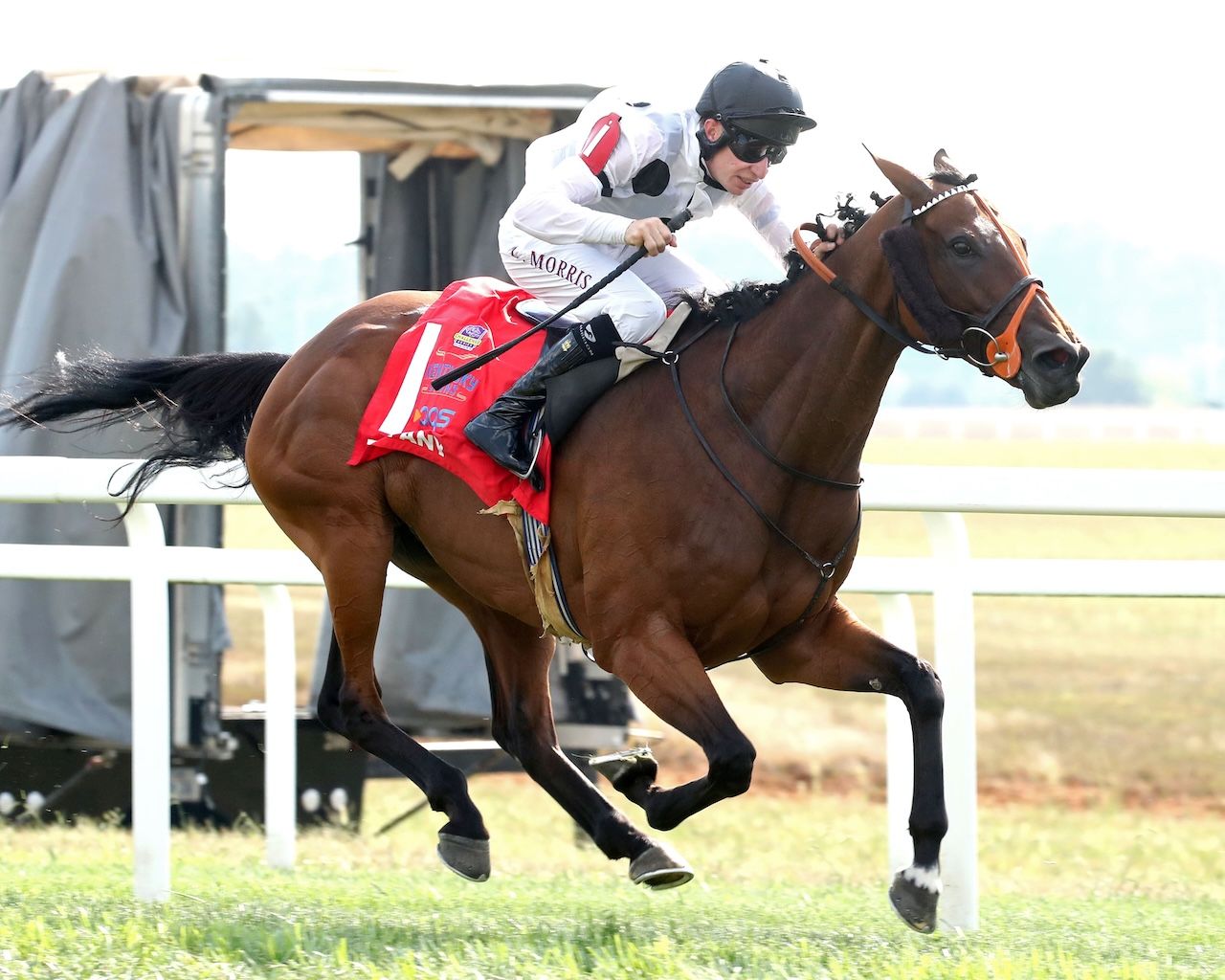 Tiffany wins the Kentucky Turf Cup Invitational at Kentucky Downs.