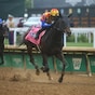 T O Elvis rolls in Churchill Downs Stakes