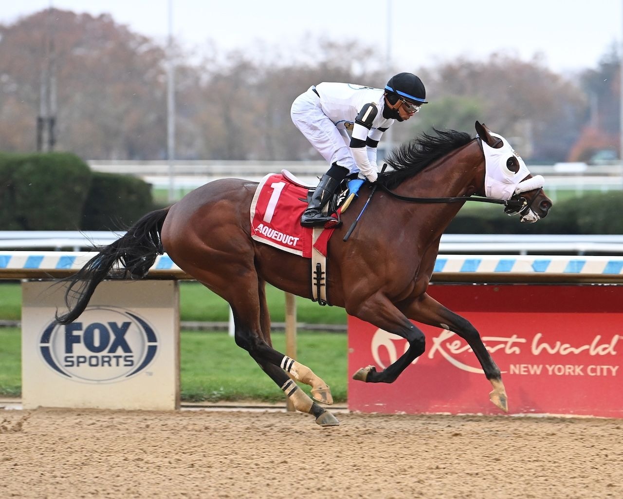 Talk to Me Jimmy blitzes foes in Withers upset