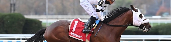 Talk to Me Jimmy blitzes foes in Withers upset