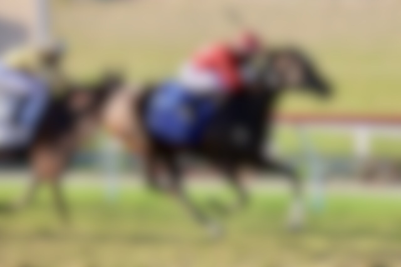 Tam Tam wins the Del Mar Oaks at Del Mar.
