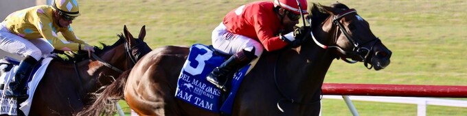 Tam Tam, Sorrento Sky, King of Gosford star on Del Mar turf