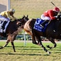 Tam Tam, Sorrento Sky, King of Gosford star on Del Mar turf