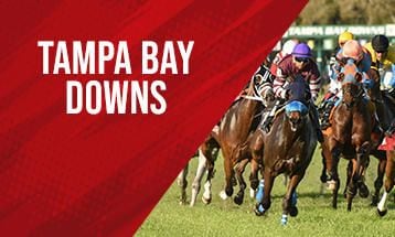 Tampa Bay PPs and Picks