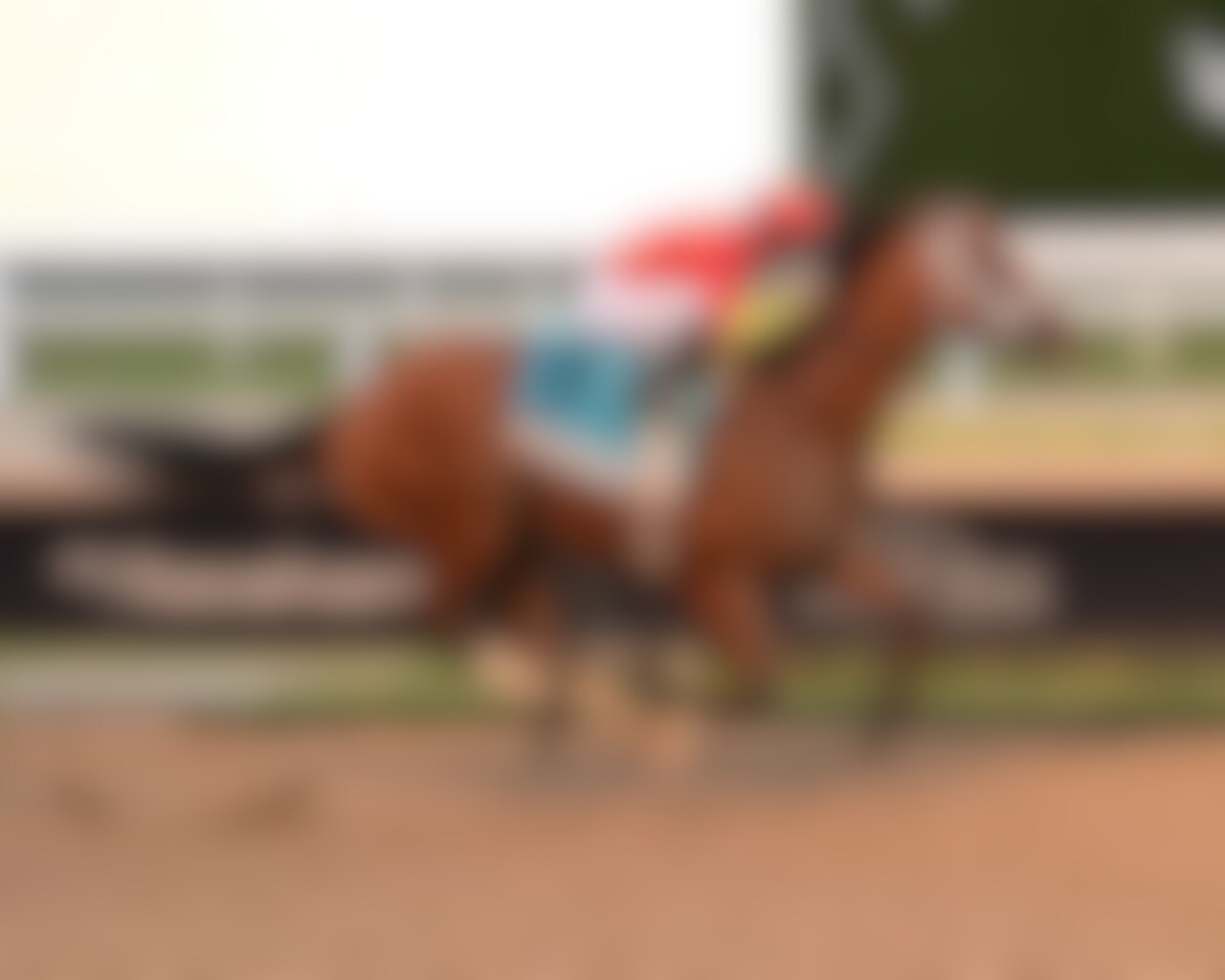 Tappan Street wins the Florida Derby at Gulfstream Park.