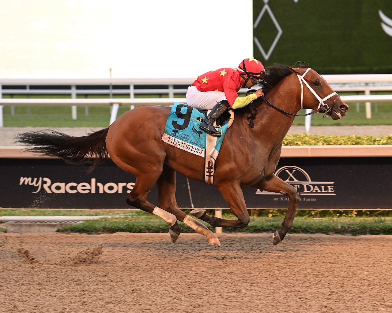 Tappan Street wins the Florida Derby at Gulfstream Park.
