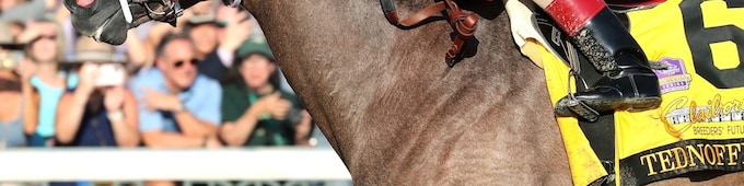 Ted Noffey closes at 6-1 in Kentucky Derby Future Wager Pool 3