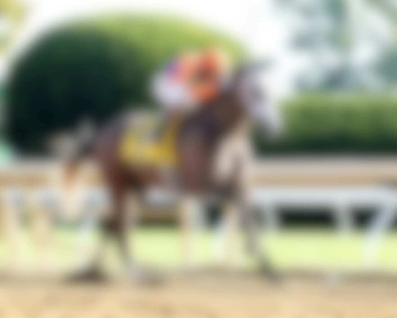 Ted Noffey wins the Breeders' Futurity at Keeneland. 