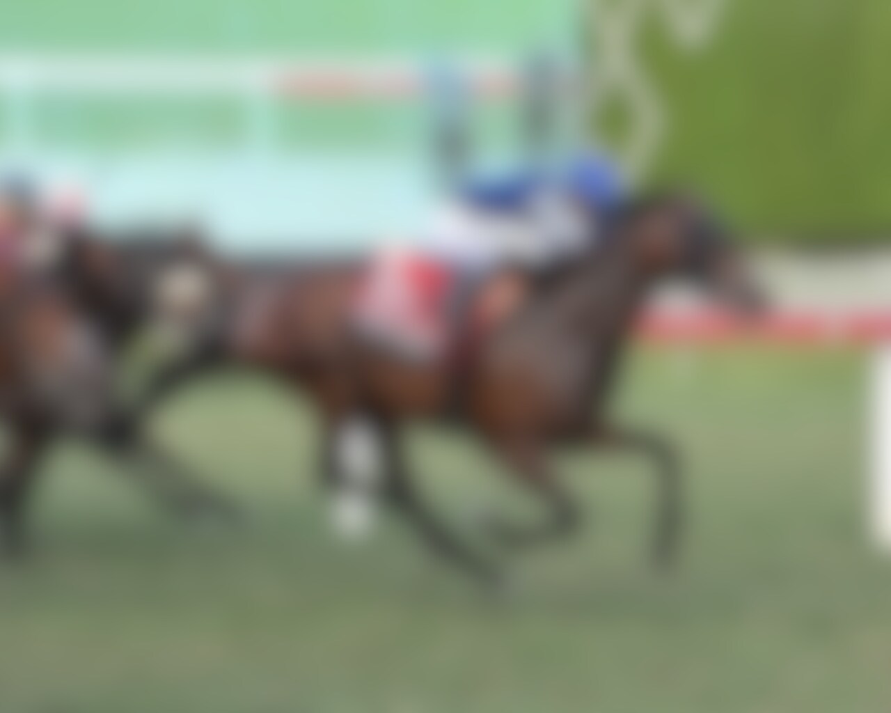 Test Score wins the Pegasus Turf at Gulfstream Park. 