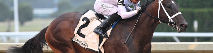The Good Life, Midnight Still take on Booked in Hopeful