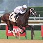 The Good Life, Midnight Still take on Booked in Hopeful
