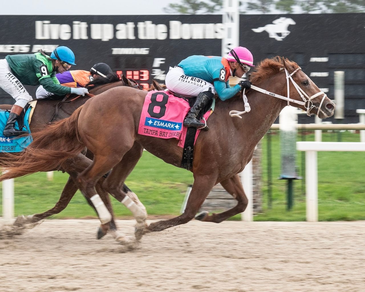 The Puma wins the Tampa Bay Derby at Tampa Bay Downs. 