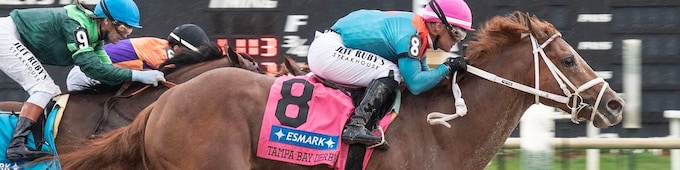 The Puma earns maiden breaking win in Tampa Bay Derby