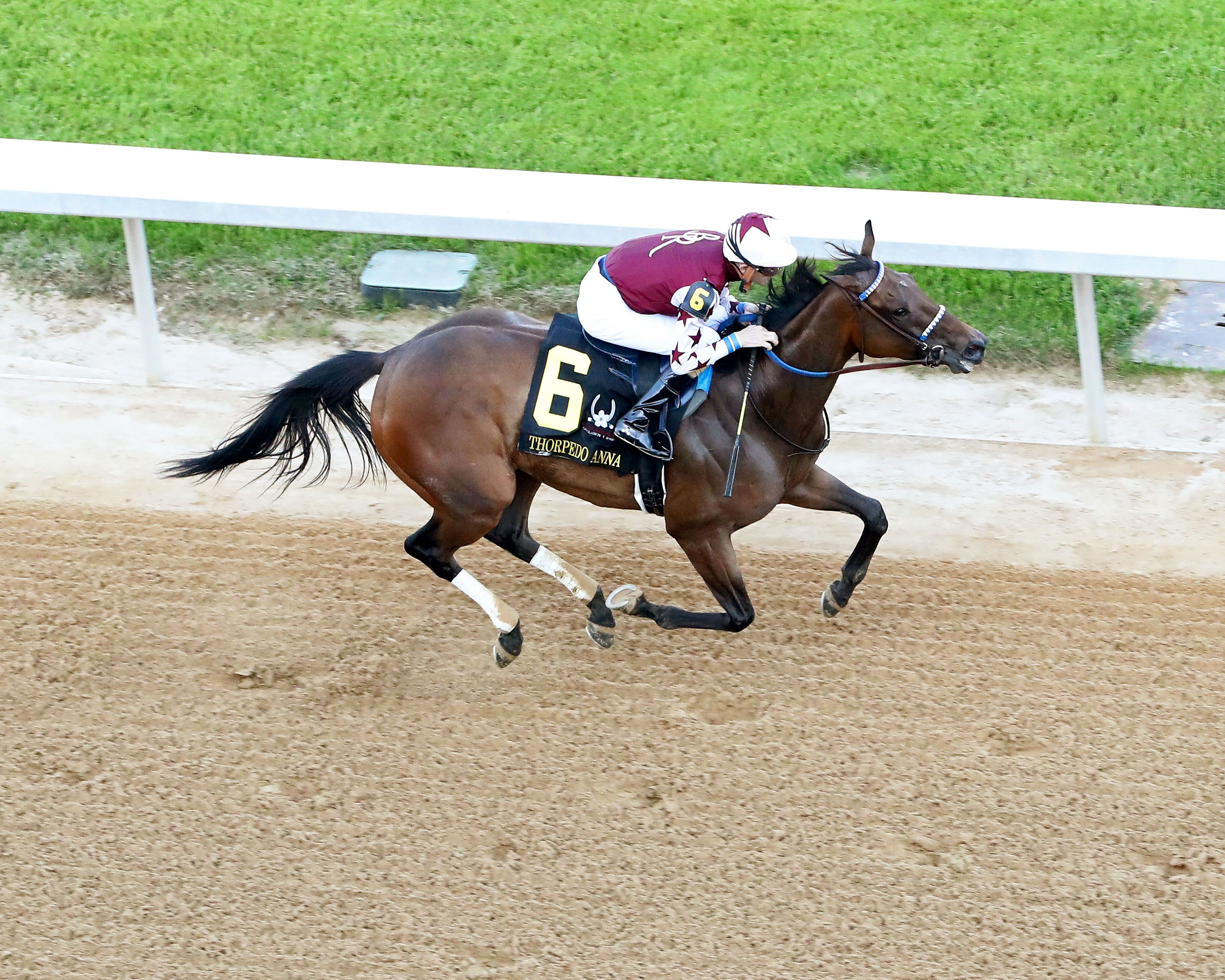 Thorpedo Anna wins the Apple Blossom Handicap.