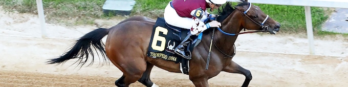 Thorpedo Anna looks to bounce back in Fleur de Lis