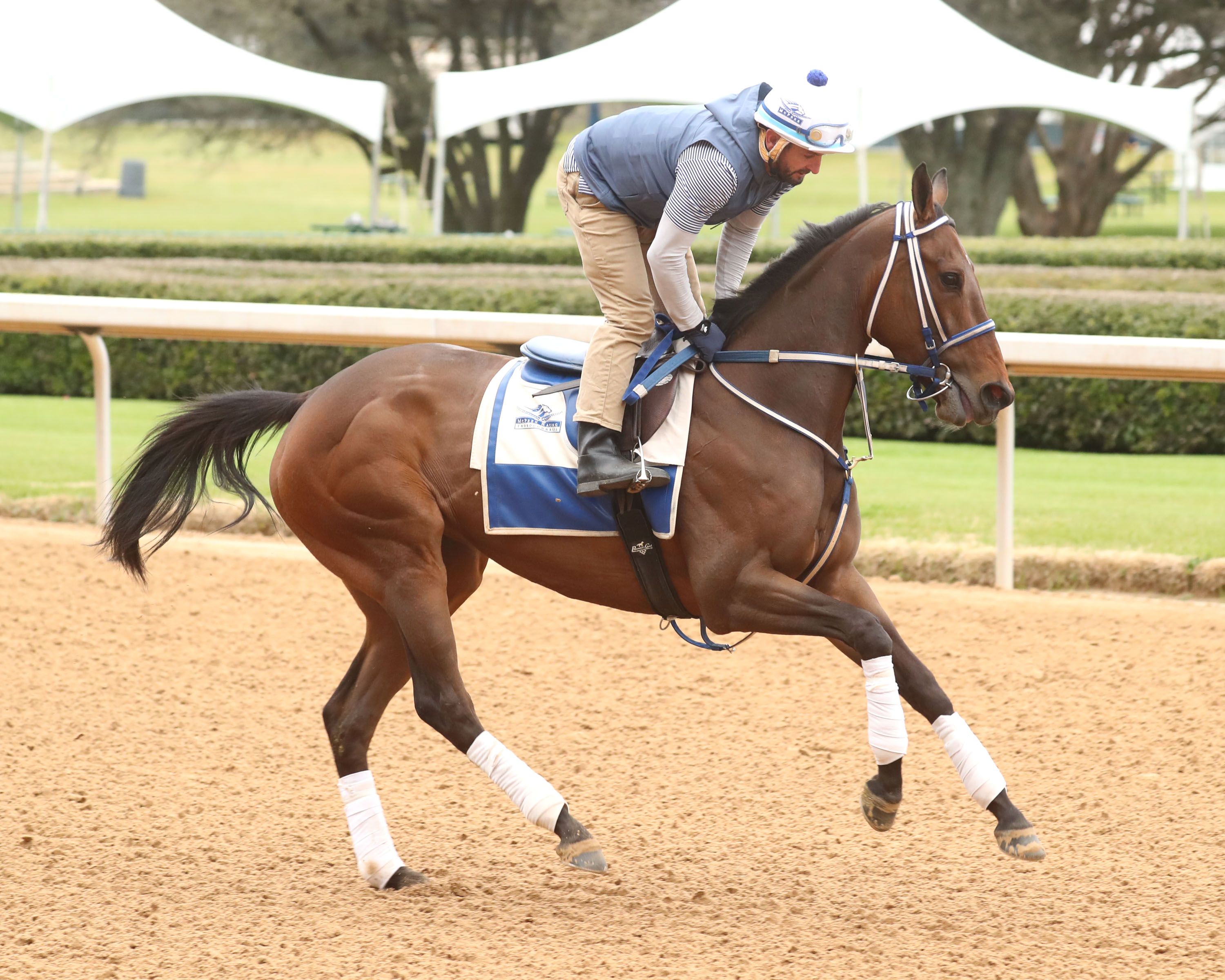 Thorpedo Anna training at Oaklawn Park.