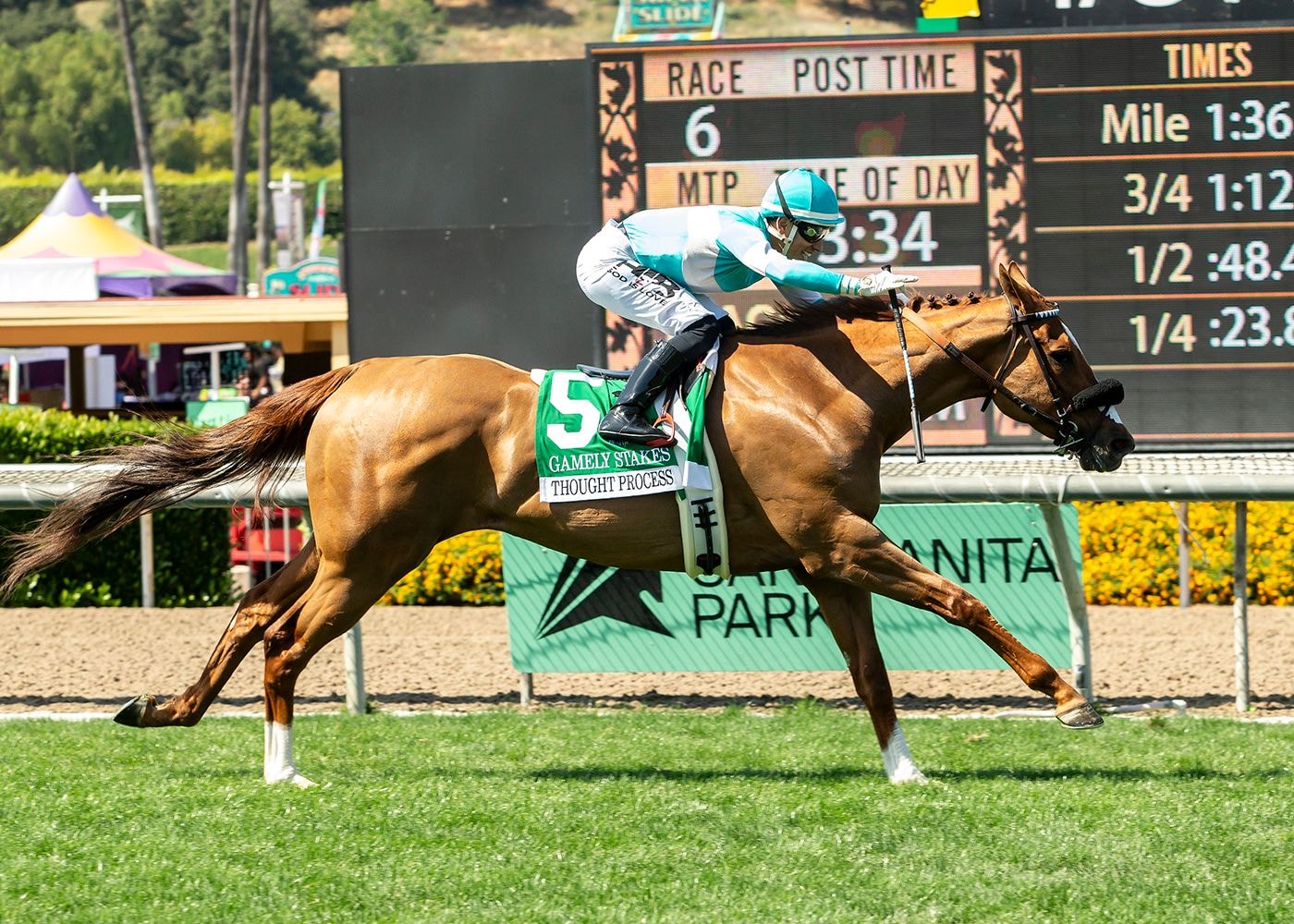 Thought Process was clearly best in the Gamely (G1)