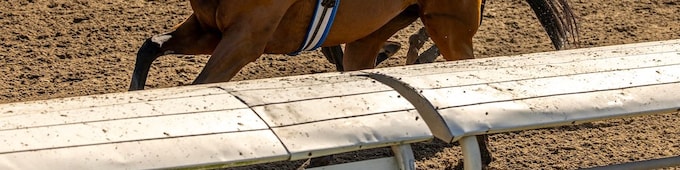 Touchuponastar smashes track record in New Orleans Classic