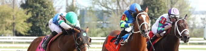 Trendsetter stuns Lexington in $66.68 upset