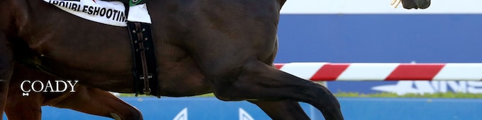 Troubleshooting succeeds in Franklin-Simpson; Shisospicy, Plensa win undercard stakes