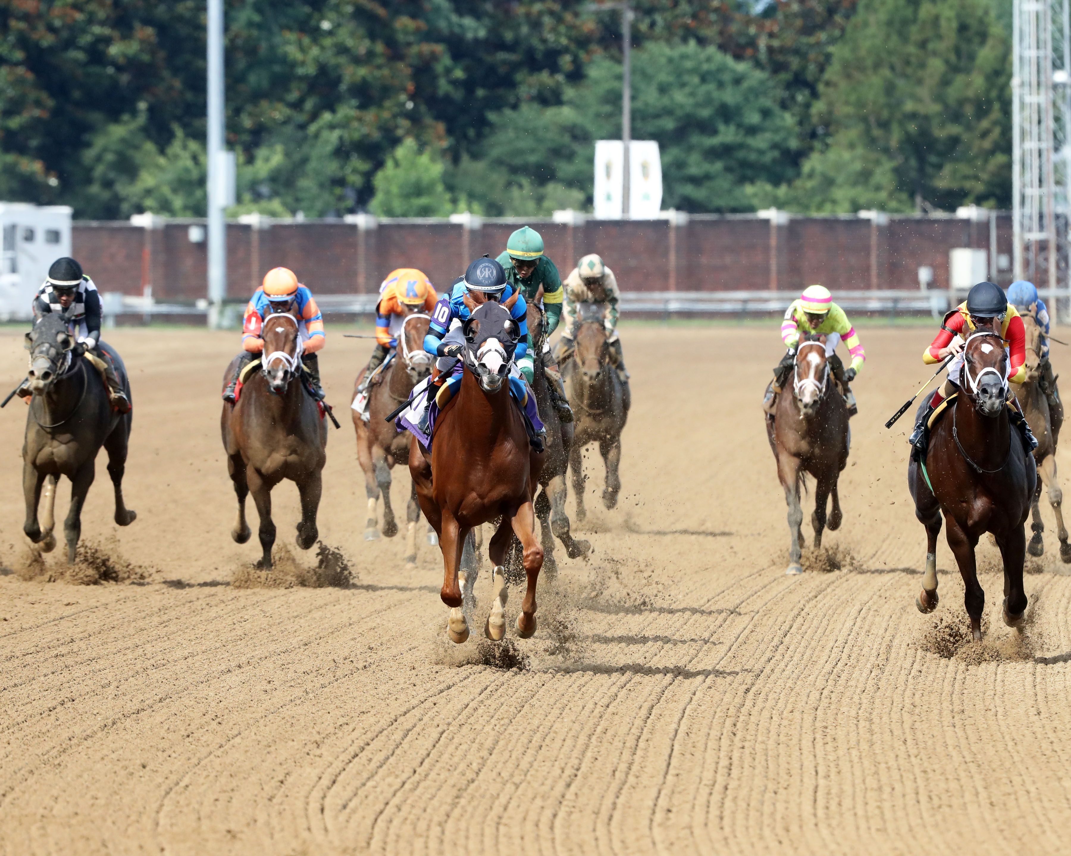 Verifire winning the Maxfield S. at Churchill Downs
