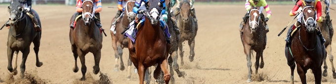 Verifire, Romeo impress in closing-day stakes at Churchill