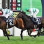 Voyage Bubble battles back to repeat in Hong Kong Mile