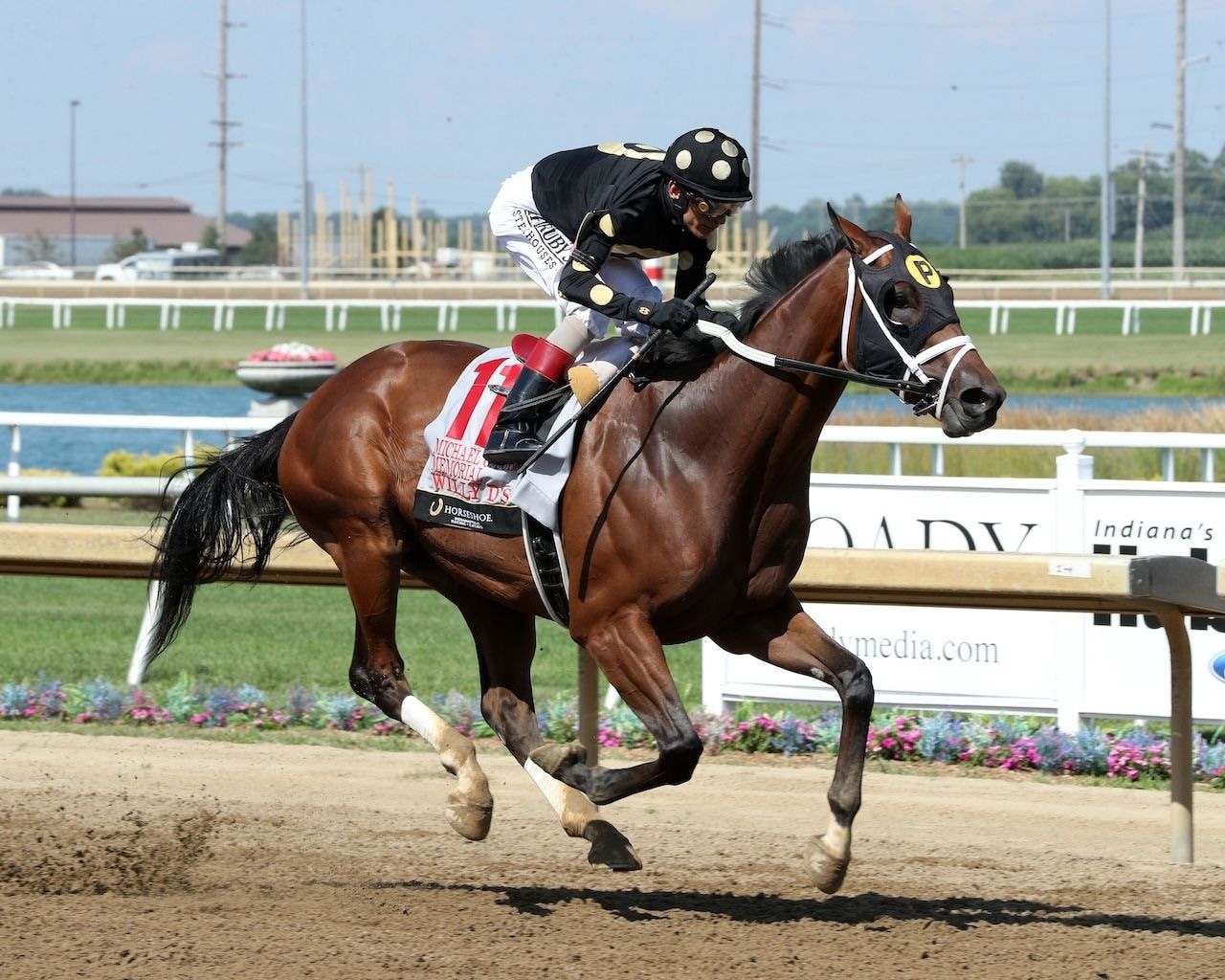 Willy D’s wins the Michael G Schaefer Memorial at Horseshoe Indiana. 