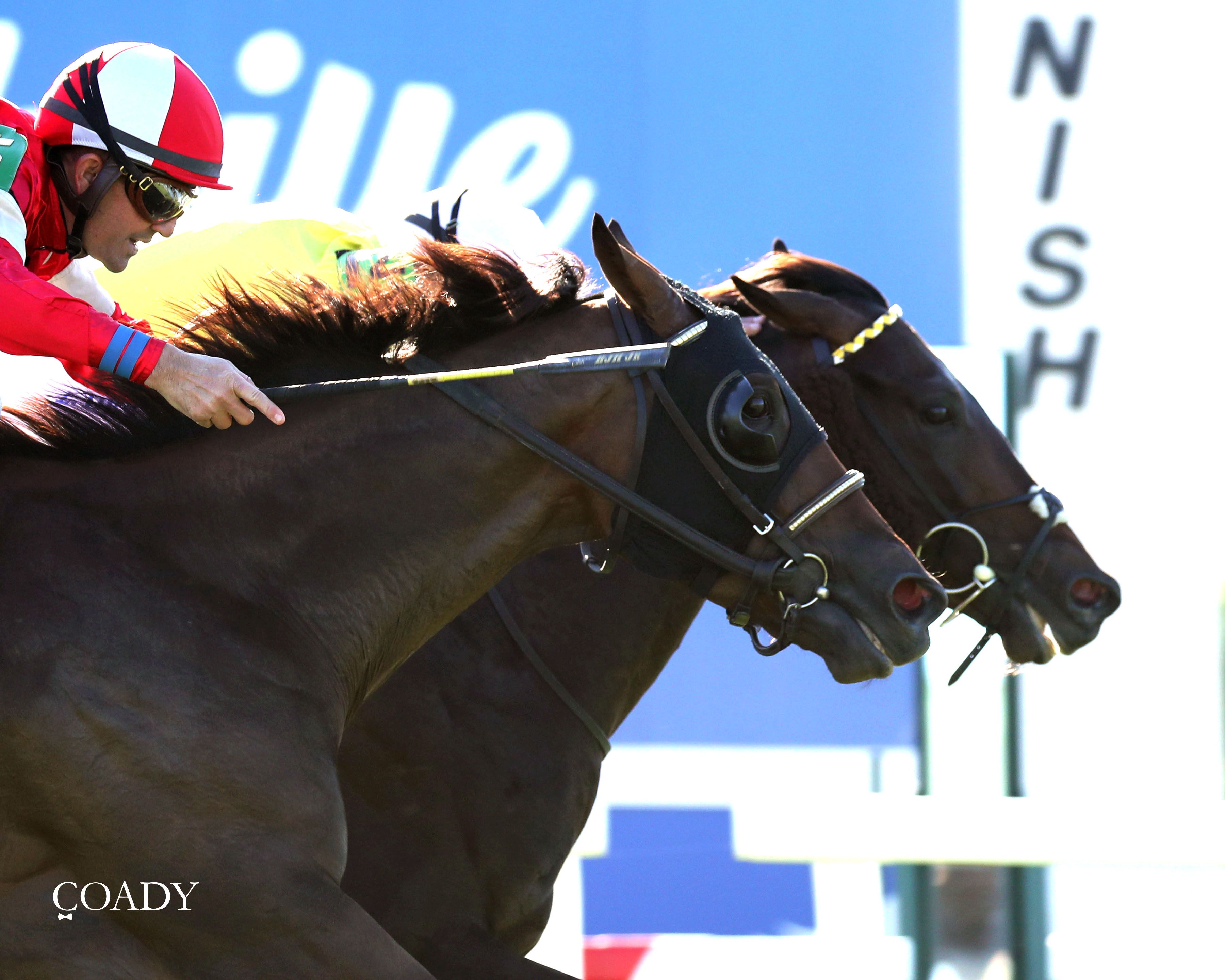 Wimbledon Hawkeye wins the Nashville Derby Invitational Stakes at Kentucky Downs.