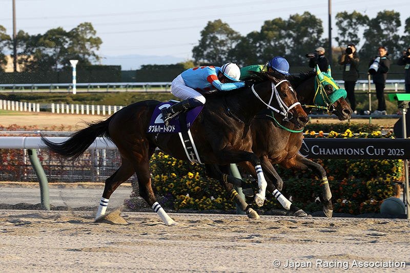 W Heart Bond wins the Champions Cup by a nose from Wilson Tesoro