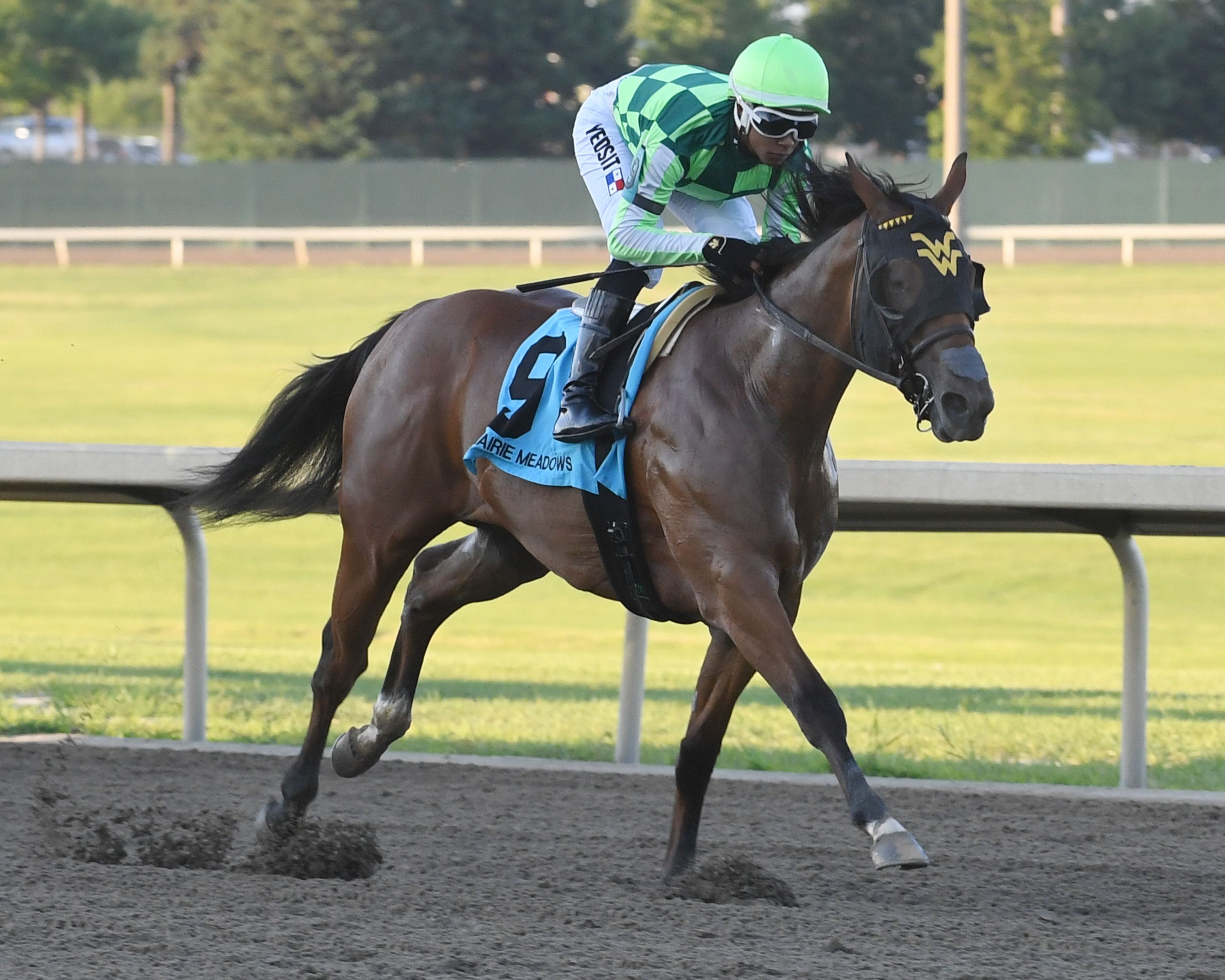 Waggley was too fast for the boys in the Prairie Gold Juvenile (Photo by Jack Coady/Coady Photography)