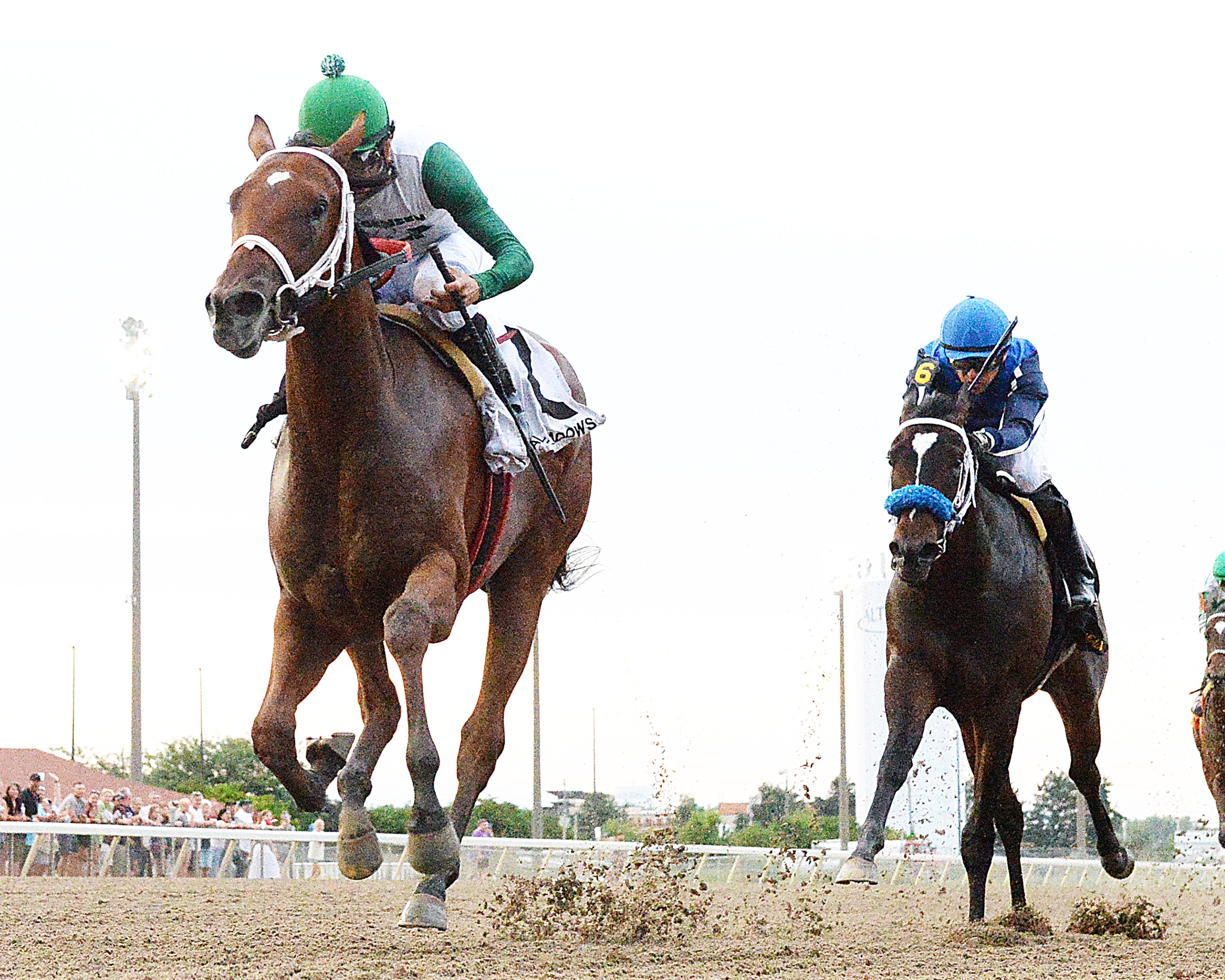Iowa-bred Wild Vekoma beat the shippers in the Prairie Gold Lassie (Photo by Jack Coady/Coady Photography)