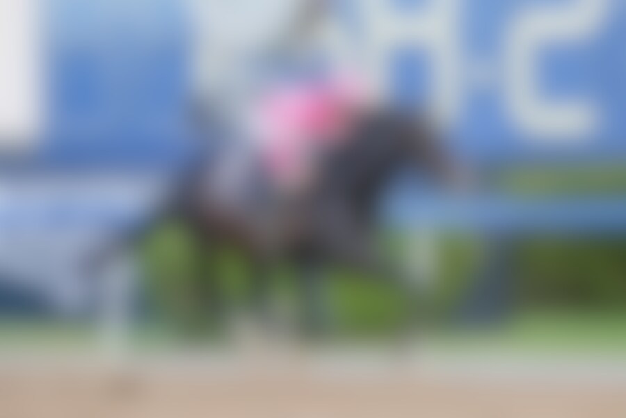 Wonder Dean edges clear in the UAE Derby (G2).