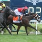 Yellow Card scores winning goal in Twin Spires Turf Sprint