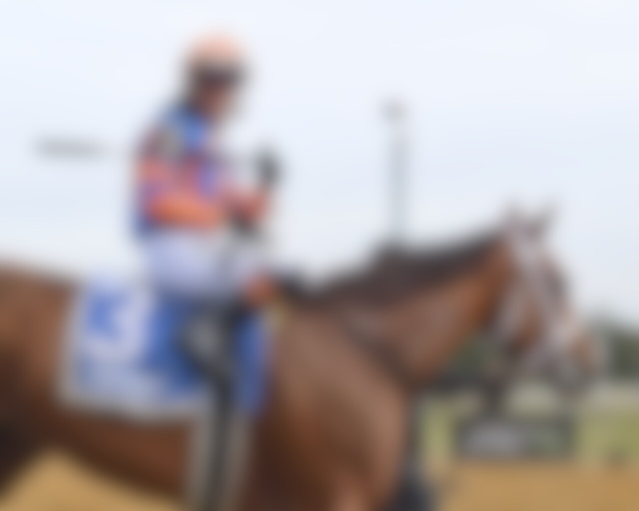 Zany wins the Demoiselle at Aqueduct.