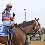 Zany looms a short-priced favorite in Ashland