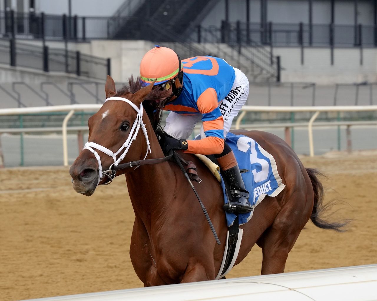 Zany wins the Demoiselle at Aqueduct.