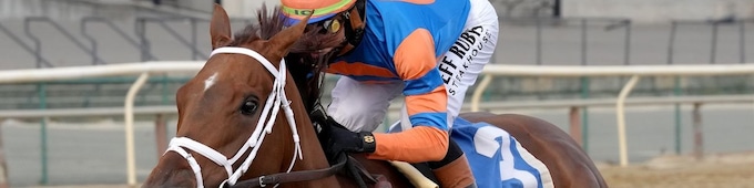 Zany rules Demoiselle, Pletcher earns 10th win