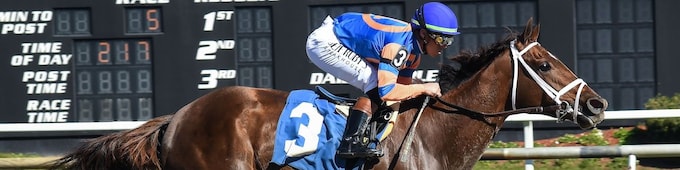 Zany remains unbeaten in Suncoast Stakes