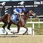 Zany remains unbeaten in Suncoast Stakes