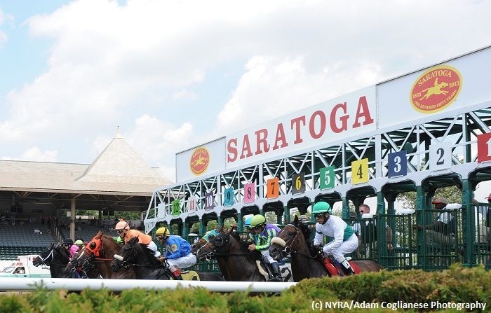 Power stables well represented in Hopeful