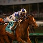 Acorn, New York feature rematches from Derby week
