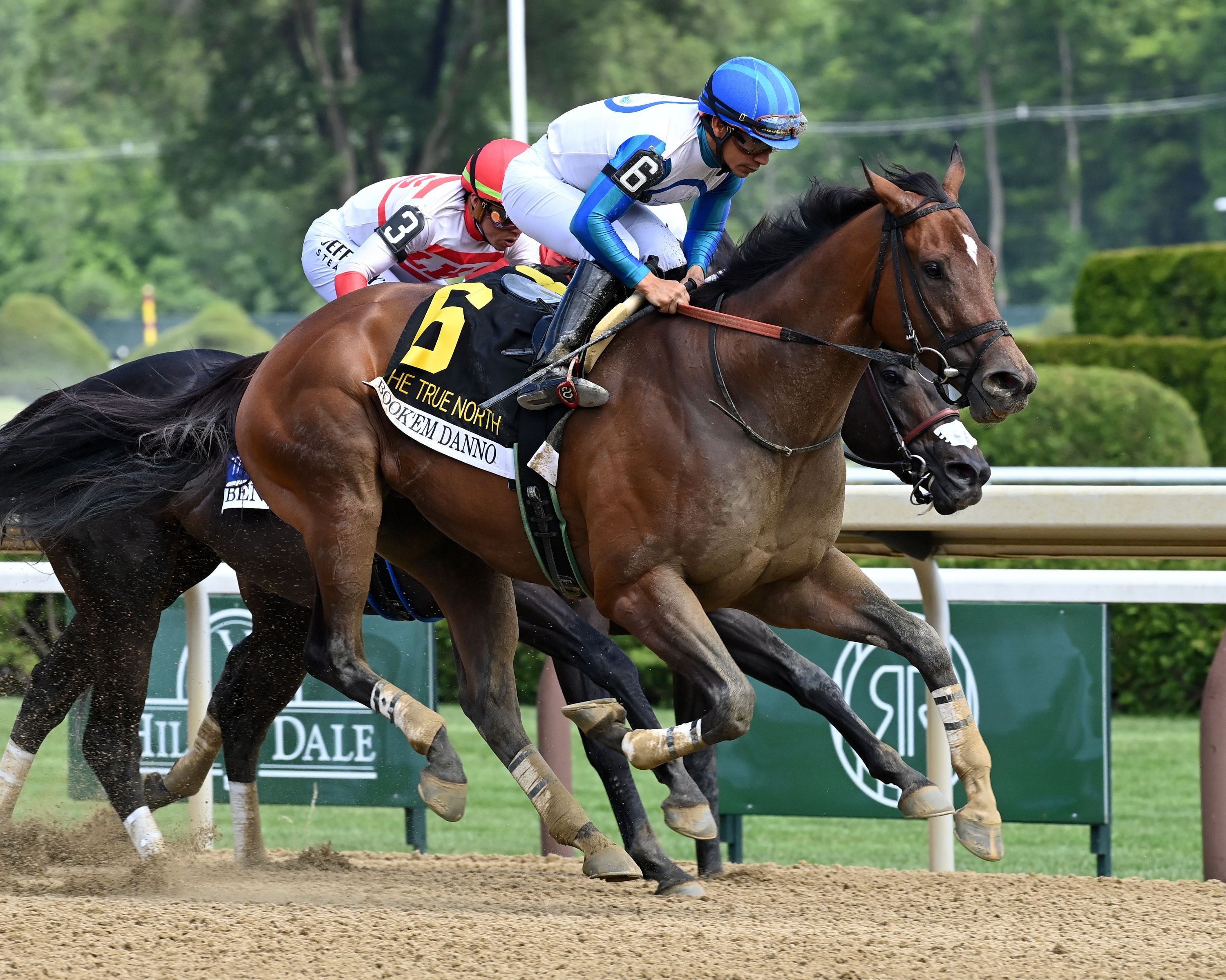 Book'em Danno after winning the True North (G3) at Saratoga.