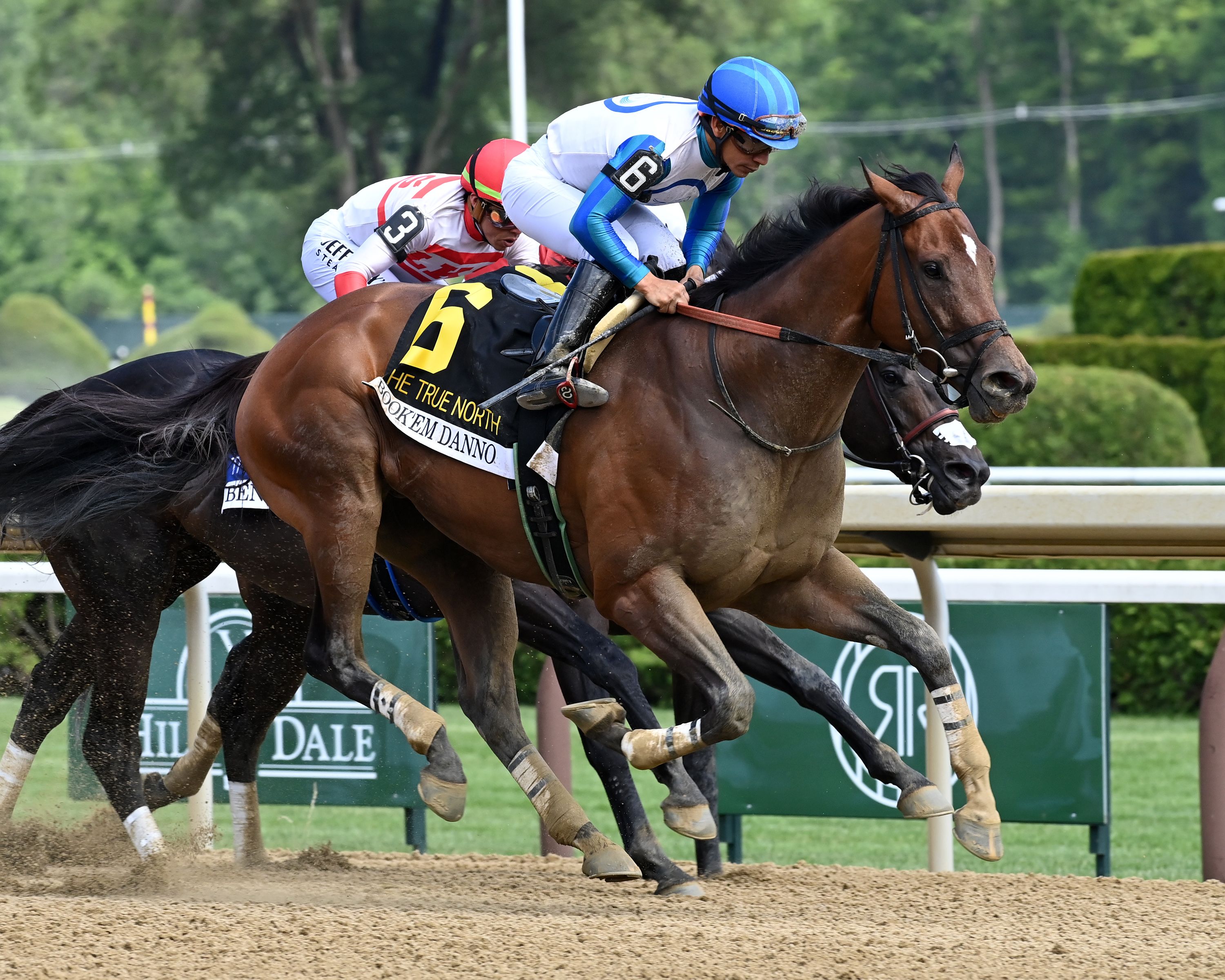 Book'em Danno after winning the True North (G3) at Saratoga.
